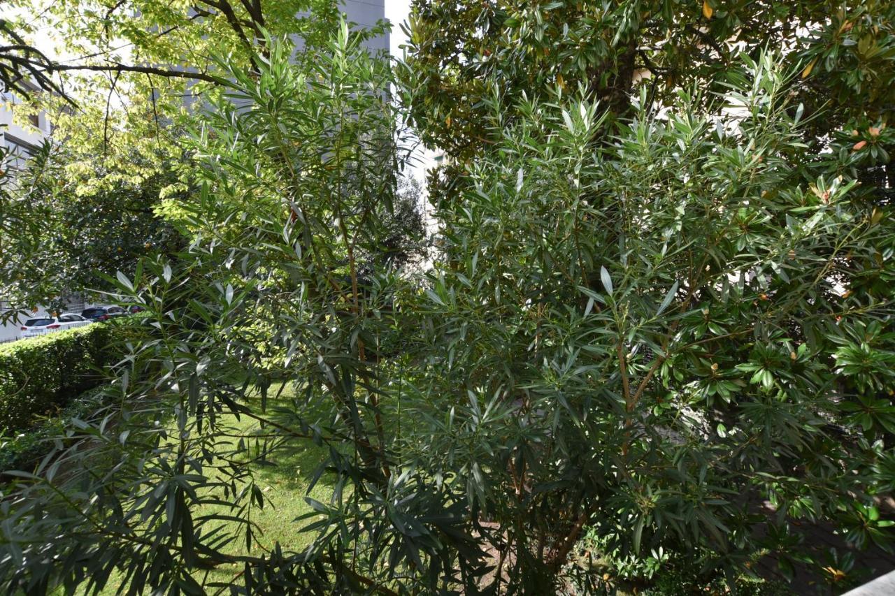 Lake Como Holiday Apartments エクステリア 写真